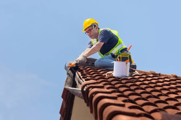 Best Skylight Installation and Repair  in Midway North, TX